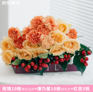 某東鮮花 玫瑰10枝+康乃馨10支+紅豆5支 共25枝