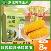 低脂飽腹！鄒有才 非轉(zhuǎn)基因真空裝東北黃糯玉米棒 1.76kg 220g*8支