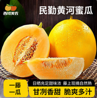 西域美農(nóng) 甘肅民勤黃河蜜瓜 凈重9斤（2-3枚）
