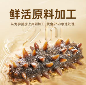 珍品堂 大連即食海參禮盒裝 2斤（24-32頭）
