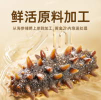 珍品堂 大連即食海參禮盒裝 2斤（24-32頭）