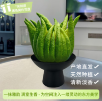 云南基地直發(fā)！某東鮮花 佛手柑250-300g+高級樹脂托盤+賀卡鮮切枝觀賞套裝