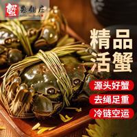 去繩足重、死蟹包賠！某東自營現(xiàn)貨六月黃大閘蟹 凈重1.8-2.1兩 10只禮盒裝