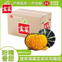 Goodfarmer 佳農 寶菜 板栗貝貝南瓜 凈重3斤 單果300g+