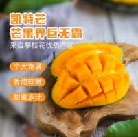 香甜多汁！京鮮生 攀枝花凱特芒果 4.5斤/單果400g起