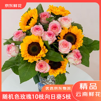 京東鮮花 隨機色玫瑰鮮切花10枝+向日葵鮮切花5枝