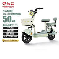 臺鈴 電動自行車續(xù)航50km石墨烯電池48V13AH小錦鯉 碧波綠