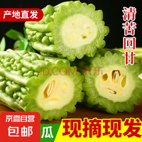 京喜 農(nóng)家新鮮苦瓜蔬菜 新鮮苦瓜 2斤