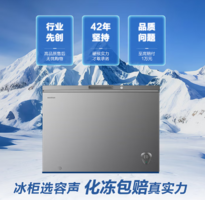 容聲 BD/BC-300ZMSMA 冷柜 300升 一級能效