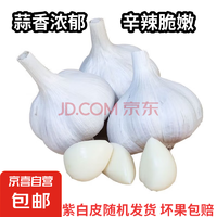 紫白皮蒜水果大蒜 1斤 單果3.5-5cm