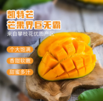 產地生態(tài)種植！京鮮生 攀枝花凱特芒果 8.5斤/單果400g起