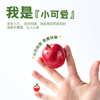 山姆99元/桶！Rockit 樂淇 新西蘭進(jìn)口蘋果 抱抱桶款 8-10顆 553g/桶（贈(zèng)2顆）