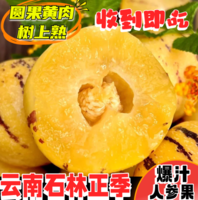 云南產(chǎn)地源頭直發(fā)！淘寶買菜 云南人參果 凈重4.5斤/單果30-50g+