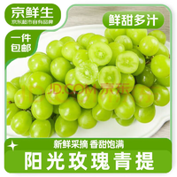 京鮮生國產陽光玫瑰凈重1.8斤單果8-10g 葡萄/提子生鮮水果源頭直發(fā)
