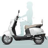 愛瑪 優(yōu)悅時(shí)尚大動力大電池長續(xù)航時(shí)尚電動摩托車 到店選色提車