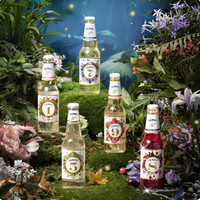 TEMPT 誘惑 西打果酒 330ml*5瓶裝 贈冰箱貼+手機支架