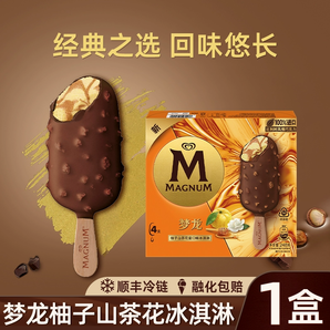 和路雪 夢龍 柚子山茶花蜜口味冰淇淋 62g*4支*5件