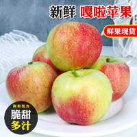 淘寶買(mǎi)菜農(nóng)場(chǎng)直發(fā)！ 陜西嘎啦蘋(píng)果（70mm以上）凈重4.5斤