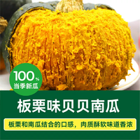 北京奧運會食材供應商！綠行者 板栗味貝貝南瓜5斤