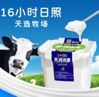 新疆牛奶第一品牌！TERUN 天潤(rùn) 潤(rùn)康 酸奶 1kg