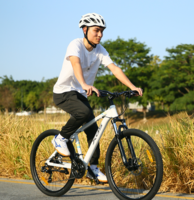XDS 喜德盛 黑客350 21速山地自行車 多色