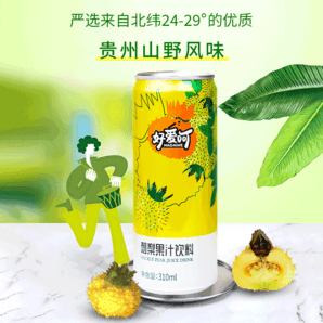 清爽解膩！好愛呵 刺梨果汁飲料310mL*6罐