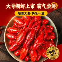 2025年新蝦！國聯(lián)水產(chǎn) 小霸龍 麻辣+蒜香+十三香小龍蝦 750g*3盒