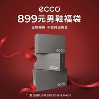 ECCO 愛(ài)步 男鞋福袋2雙裝