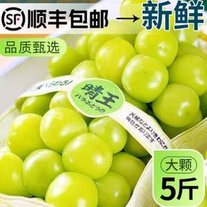 某寶買菜 陽(yáng)光玫瑰葡萄 晴王 凈重5斤 大果 單果10-14g