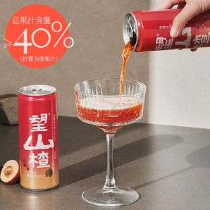 好望水 望山楂山楂汁氣泡水 330mL*6罐