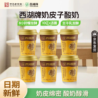 中華老字號(hào)！西湖牌 奶皮子酸奶130g*6杯