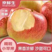京鮮生 山西嘎啦小蘋果 凈重4.5斤 單果65mm起