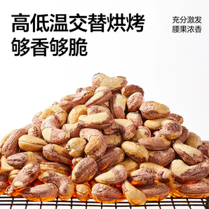 天虹牌 越南紫衣腰果 1kg