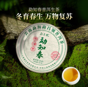 金雞獎(jiǎng)官方指定茶葉品牌！勐昌號 勐知春 云南勐海產(chǎn)區(qū)普洱茶(生茶)357g*2件 贈(zèng)品鑒裝