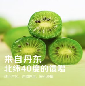 鮮嫩多汁！京覓 丹東軟棗獼猴桃/奇異莓 中果 單果10g以上 凈重3斤