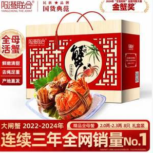 陽澄聯(lián)合 鮮活大閘蟹現(xiàn)貨 去繩足重全母蟹2.0-2.3兩 8只