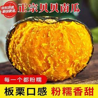 京鮮匠 貝貝南瓜 實(shí)惠裝 凈重4.5斤