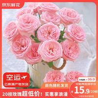 京東鮮花 玫瑰花鮮切花 隨機(jī)色10枝+送10枝
