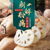京鮮生 湖北洪湖蓮藕 3斤(3-5節(jié))