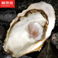 5XL最大號！鮮京采 鮮活生蠔  凈重5斤 5XL 9-12只裝