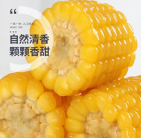 25年新貨！珍谷誘惑 非轉(zhuǎn)基因 真空鎖鮮新東北甜糯玉米 10支/2.4kg