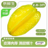 京鮮生 廣東樹熟楊桃 凈重2.8~3斤裝單果150g+