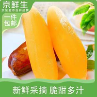 京鮮生 云南高山雪蓮果 3斤 單果150g+