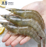 萬景 北海鮮凍白蝦(大號) 100-120只/無冰凈重4斤