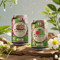 果味濃郁！Cicun 溪存 紅番石榴味蘇打汽水330mL*2罐