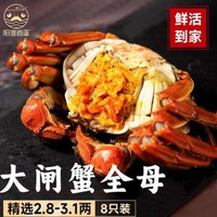 陽澄逍遙 陽澄湖大閘蟹現(xiàn)貨 去繩足重 全母2.8-3.1兩 8只