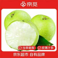 脆甜多汁！京覓 河北皇冠青梨 凈重4.5斤 單果250g+