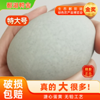 鄱湖鴨舍 無鉛松花溏心皮蛋 60-70g/枚*10枚