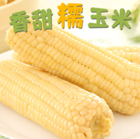 軟糯香甜！京鮮生 東北白糯玉米 250g*10棒