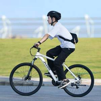 XDS 喜德盛 17寸 旭日310 21速變速機(jī)械碟剎山地自行車